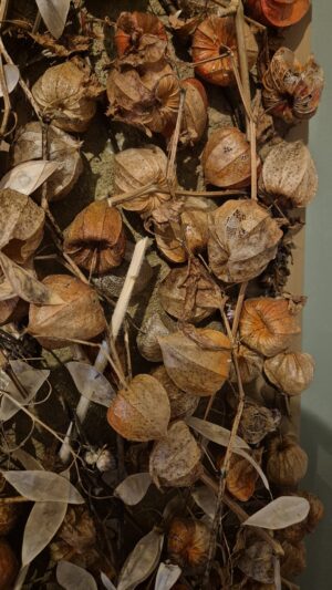 Alternative view of Amber Husk - botanisch plukveld (122x57 cm)