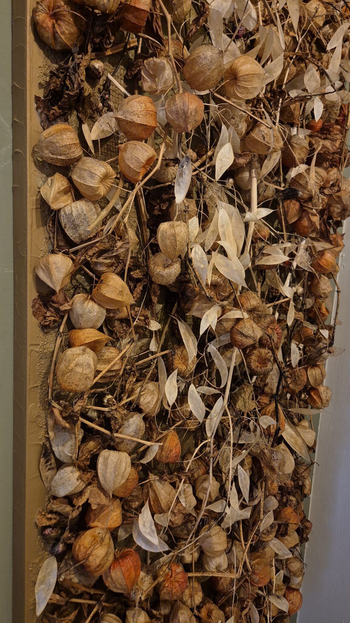 Amber Husk - botanisch plukveld (122x57 cm) - Afbeelding 4