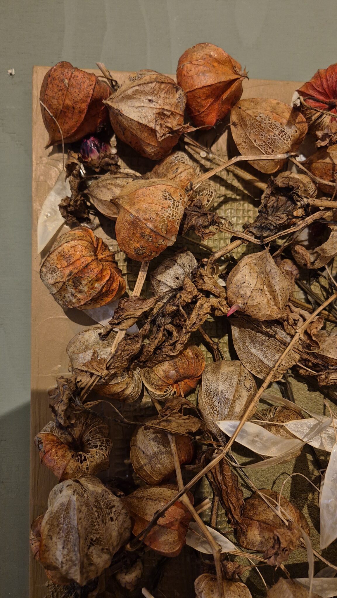 Amber Husk - botanisch plukveld (122x57 cm) - Afbeelding 3