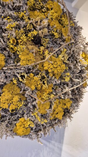 Alternative view of Zonveld - botanisch wandwerk (66x30cm)