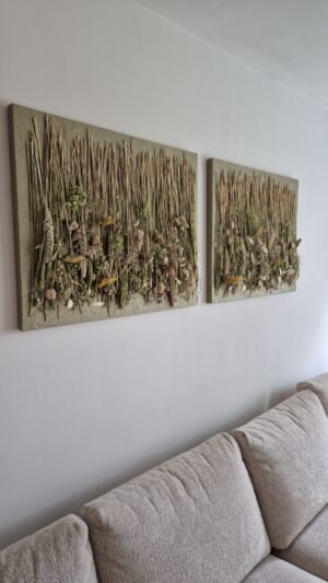 Botanische plukvelden