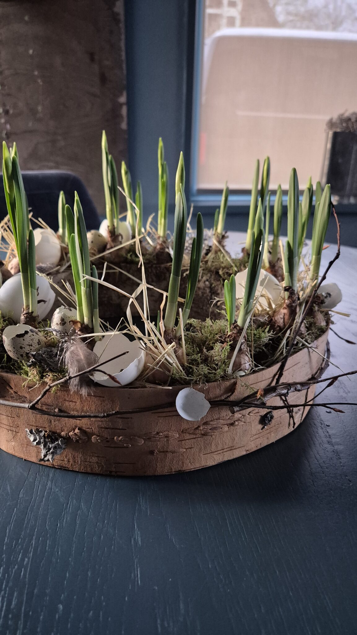Workshop 'In de bast' vrijdag 23 januari 9:30 u