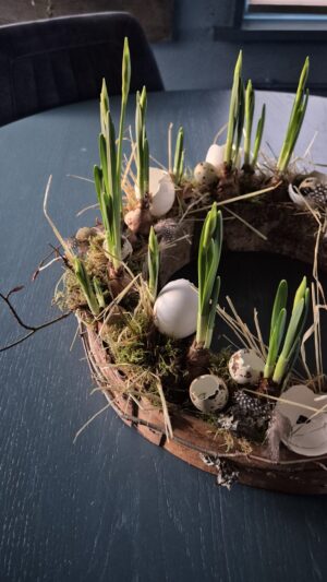 Alternative view of Workshop 'In de bast' maandag 26 januari 13:30 u