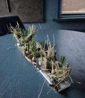 Alternative view of Workshop 'Schuilplaats/Lentevaart' donderdag 29 januari 13:30 u