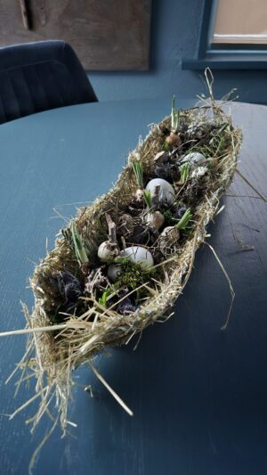 Workshop 'Schuilplaats/Lentevaart' donderdag 29 januari 13:30 u